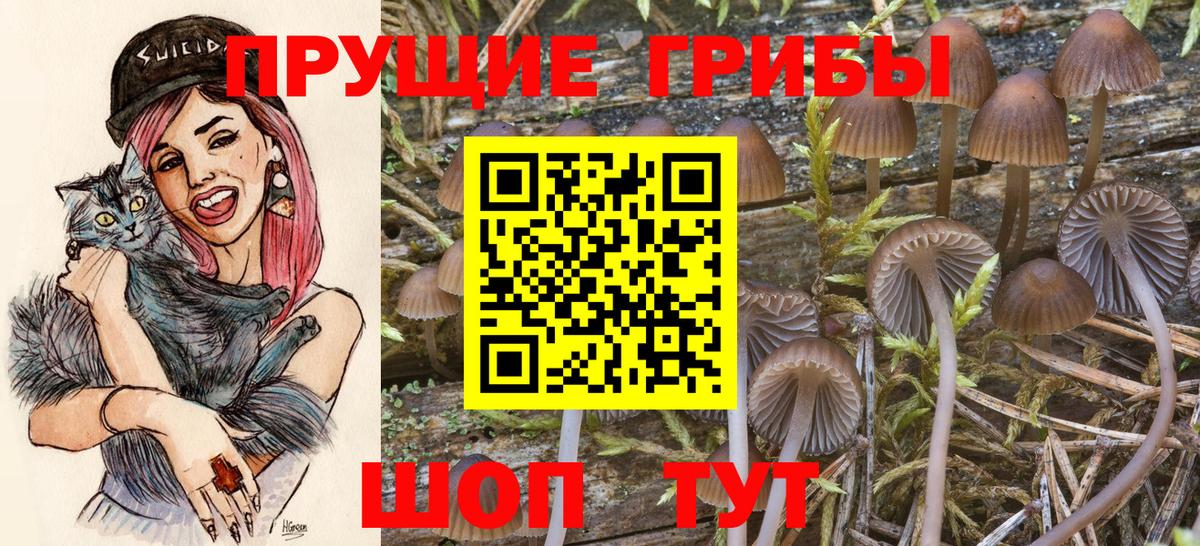 где продают   Вход с VPN  Стрежевой  Галлюциногенные грибы прущие грибы 
